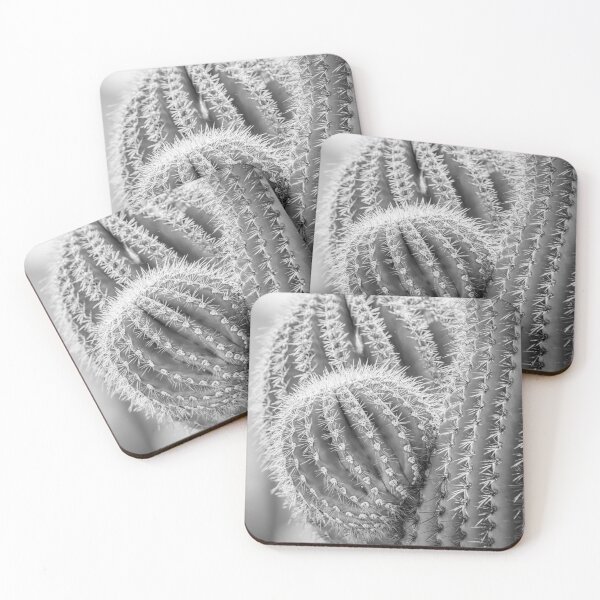 Item preview, Close-Up of Saguaro Cactus Spines BW designed and sold by PhotoArt by Joan Carroll.