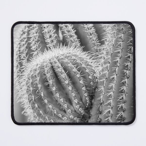 Item preview, Close-Up of Saguaro Cactus Spines BW designed and sold by PhotoArt by Joan Carroll.