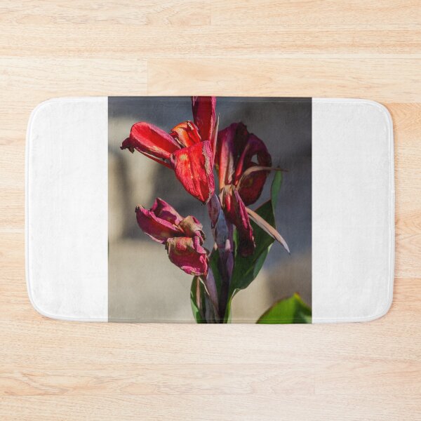 Item preview, Close-Up of Dried Red Canna Lily With Wilted Petals and Green Leaves in Sunlight designed and sold by Nmallia.