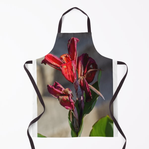 Item preview, Close-Up of Dried Red Canna Lily With Wilted Petals and Green Leaves in Sunlight designed and sold by Nmallia.