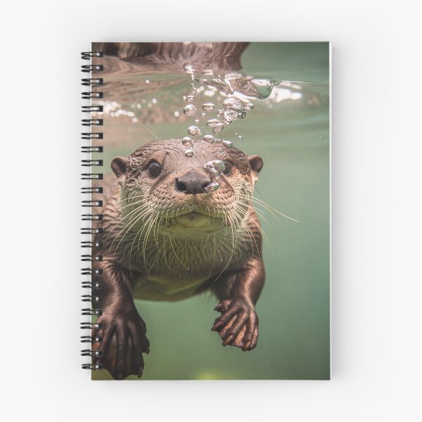 Item preview, Underwater portrait of an otter designed and sold by Halbeskilo.