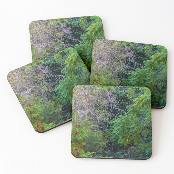 Item preview, Lush Green Foliage With Tangled Branches and Overgrown Forest Undergrowth in Summer Light designed and sold by Nmallia.