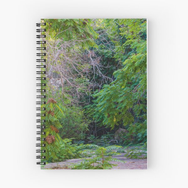 Item preview, Lush Green Foliage With Tangled Branches and Overgrown Forest Undergrowth in Summer Light designed and sold by Nmallia.