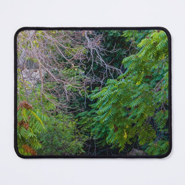 Item preview, Lush Green Foliage With Tangled Branches and Overgrown Forest Undergrowth in Summer Light designed and sold by Nmallia.