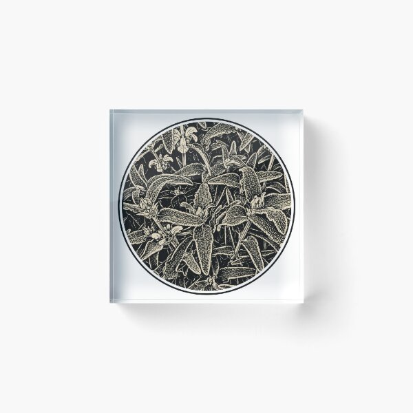 Item preview, Unique Ground Florals | Botanical Ink Art designed and sold by Linoluca.
