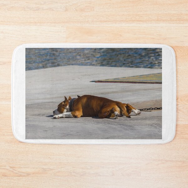 Item preview, Sleeping Brown Dog Resting on Waterfront Concrete Dock in Sun With Collar and Chain designed and sold by Nmallia.