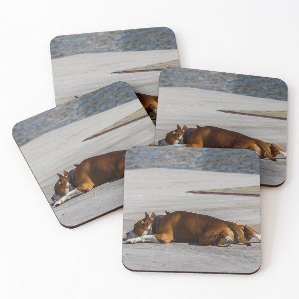 Item preview, Sleeping Brown Dog Resting on Waterfront Concrete Dock in Sun With Collar and Chain designed and sold by Nmallia.
