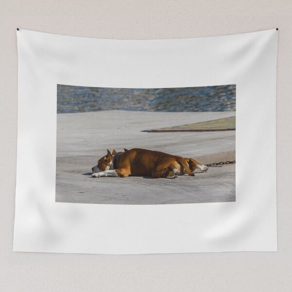 Item preview, Sleeping Brown Dog Resting on Waterfront Concrete Dock in Sun With Collar and Chain designed and sold by Nmallia.