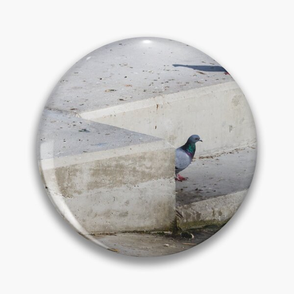 Item preview, Group of Rock Pigeons on Concrete Steps at Urban Waterfront designed and sold by Nmallia.
