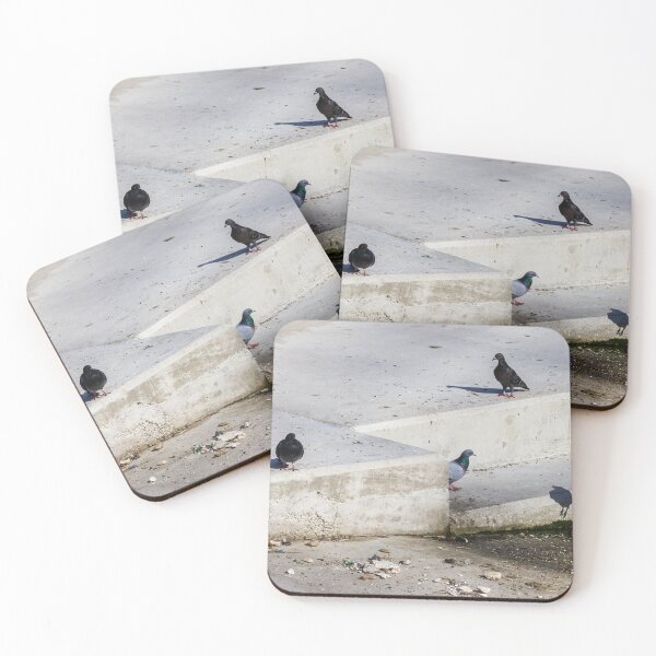 Item preview, Group of Rock Pigeons on Concrete Steps at Urban Waterfront designed and sold by Nmallia.
