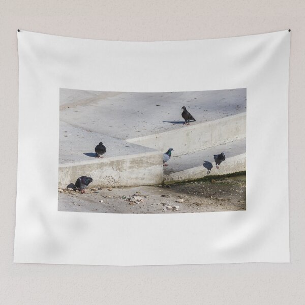 Item preview, Group of Rock Pigeons on Concrete Steps at Urban Waterfront designed and sold by Nmallia.