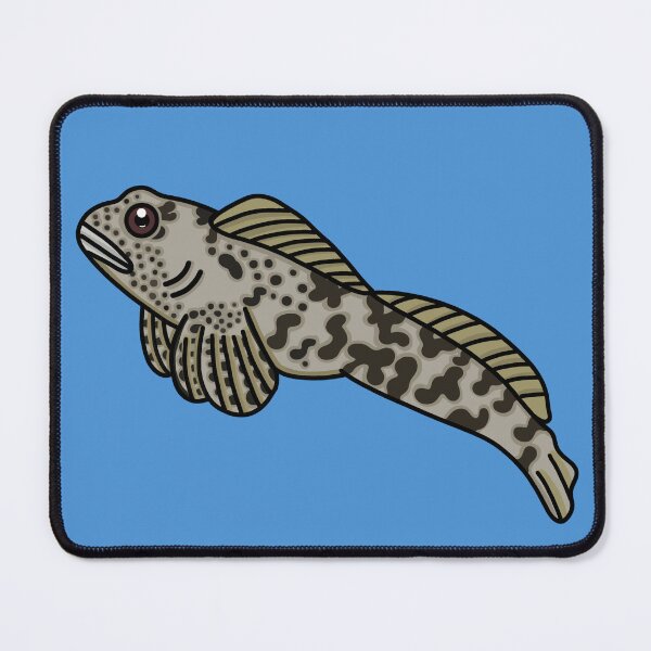 Item preview, Common Blenny - A Derpybird Design designed and sold by YOjosie.