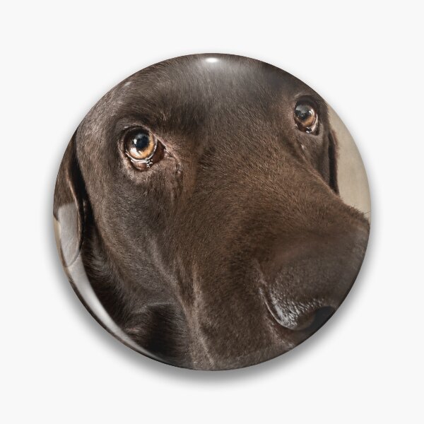 Item preview, Vince – The Gaze of Trust designed and sold by alexanderVision.