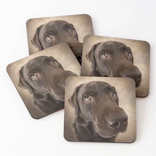 Item preview, Vince – The Gaze of Trust designed and sold by alexanderVision.