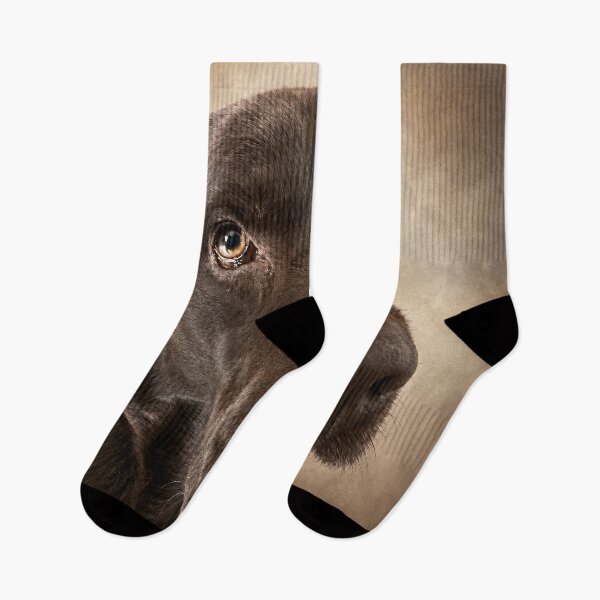 Item preview, Vince – The Gaze of Trust designed and sold by alexanderVision.
