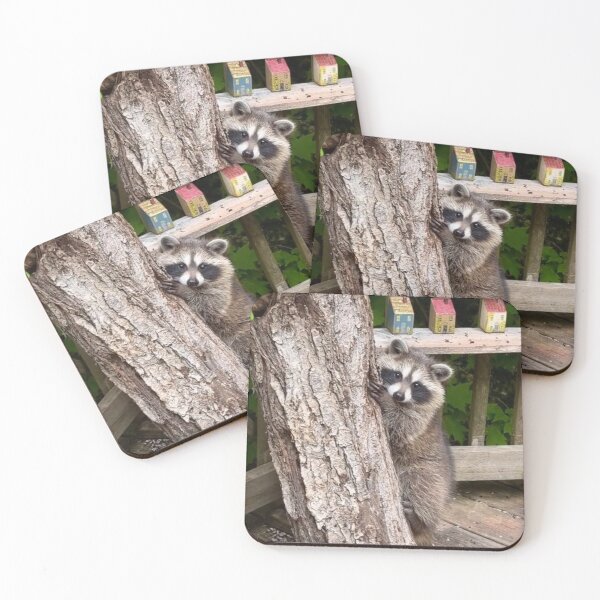 Item preview, Raccoon Cub Cutie. designed and sold by Richard W J Conyard.