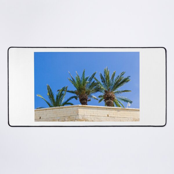 Item preview, Three Palm Trees Rising Above A Pale Stone Wall Under A Clear Blue Sky On A Sunny Day designed and sold by Nmallia.