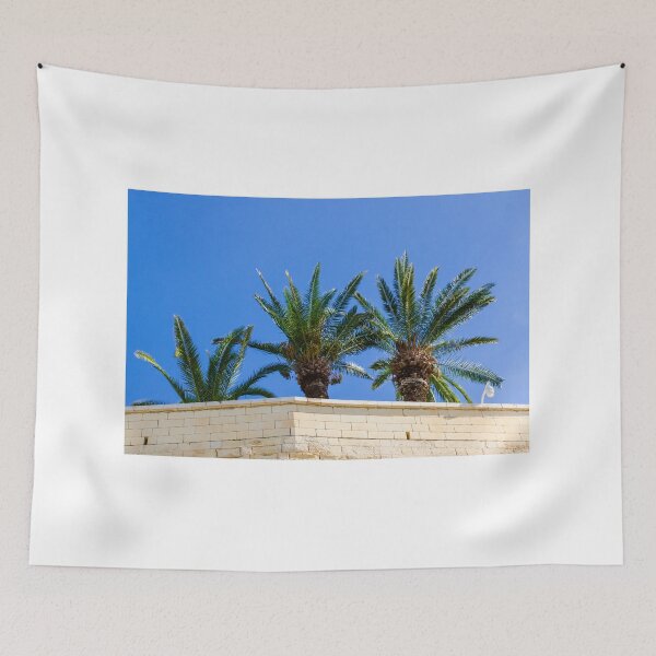 Item preview, Three Palm Trees Rising Above A Pale Stone Wall Under A Clear Blue Sky On A Sunny Day designed and sold by Nmallia.
