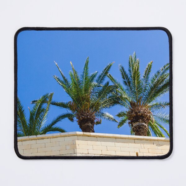 Item preview, Three Palm Trees Rising Above A Pale Stone Wall Under A Clear Blue Sky On A Sunny Day designed and sold by Nmallia.