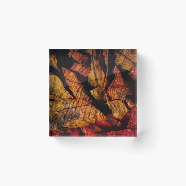 Item preview, Autumn Fire – Abstract Fallen Leaves in Deep Red and Gold designed and sold by BuckaBaby.