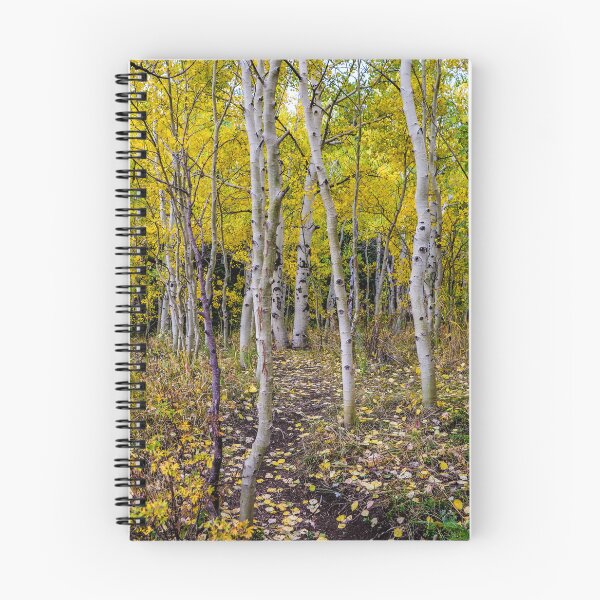 Item preview, Aspen Bliss in Golden Light designed and sold by South 500 Photography.