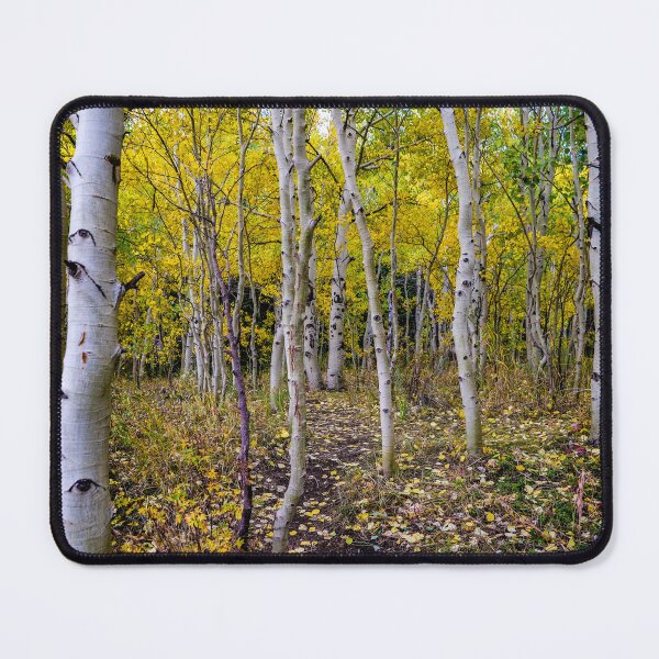 Item preview, Aspen Bliss in Golden Light designed and sold by South 500 Photography.