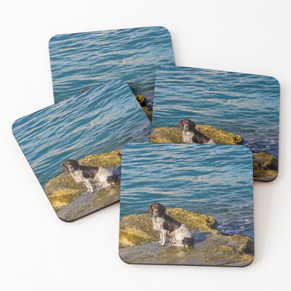 Item preview, Wet Dog Sitting on Rocky Shore by Blue Sea With Calm Water and Golden Light designed and sold by Nmallia.