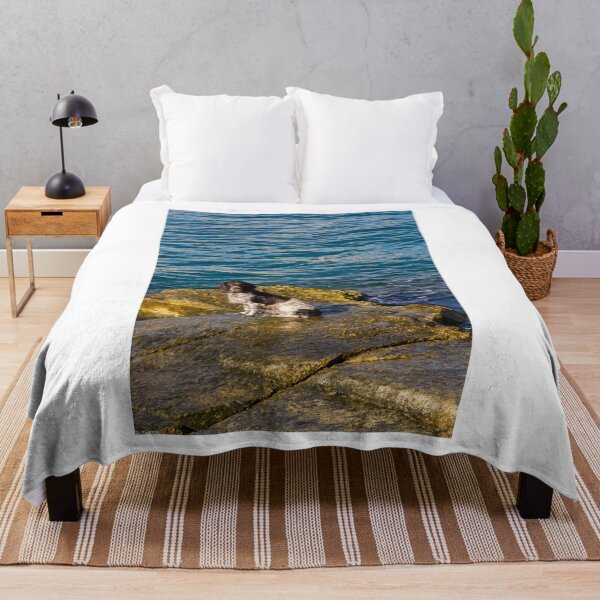 Item preview, Wet Dog Sitting on Rocky Shore by Blue Sea With Calm Water and Golden Light designed and sold by Nmallia.