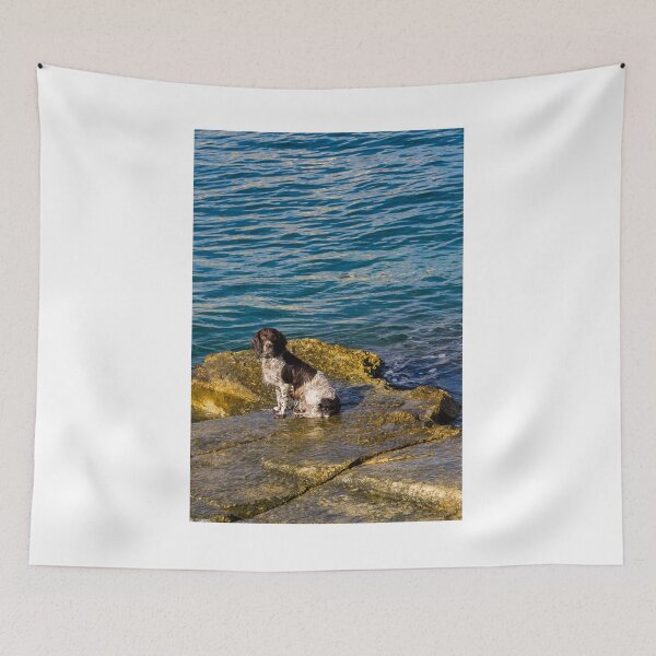 Item preview, Wet Dog Sitting on Rocky Shore by Blue Sea With Calm Water and Golden Light designed and sold by Nmallia.