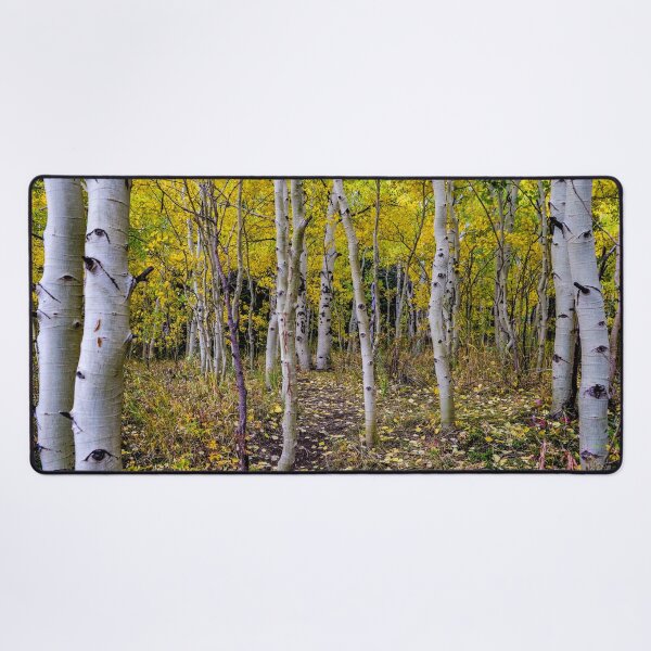 Item preview, Aspen Bliss in Golden Light designed and sold by South 500 Photography.