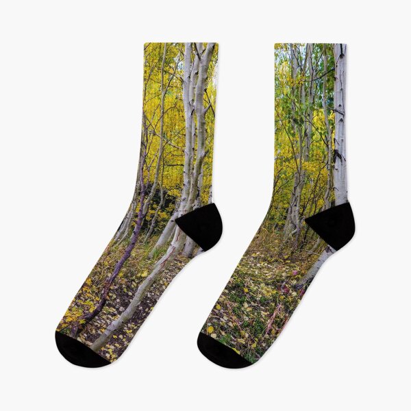 Item preview, Aspen Bliss in Golden Light designed and sold by South 500 Photography.