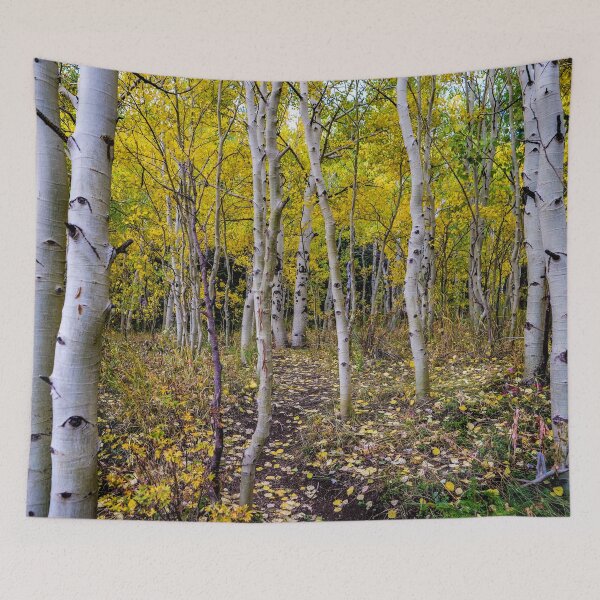Item preview, Aspen Bliss in Golden Light designed and sold by South 500 Photography.