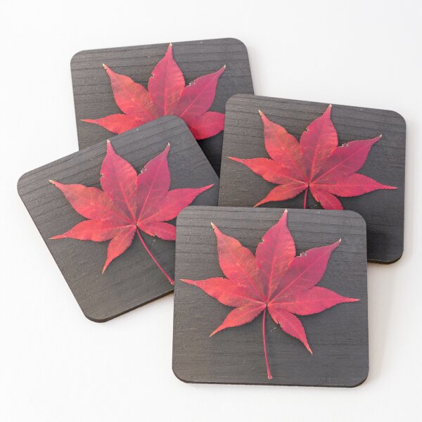 Item preview, Japanese Maple Leaf - Beautiful Foliage Photography designed and sold by YemmyZImages.