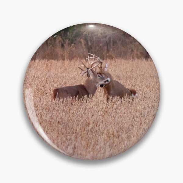 Item preview, Two Bucks in a Tangled Rut designed and sold by South 500 Photography.
