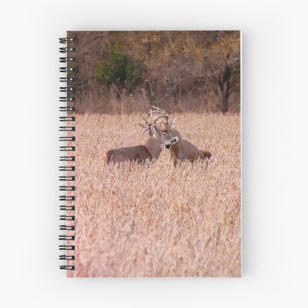 Item preview, Two Bucks in a Tangled Rut designed and sold by South 500 Photography.
