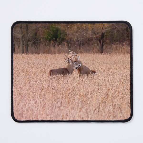 Item preview, Two Bucks in a Tangled Rut designed and sold by South 500 Photography.