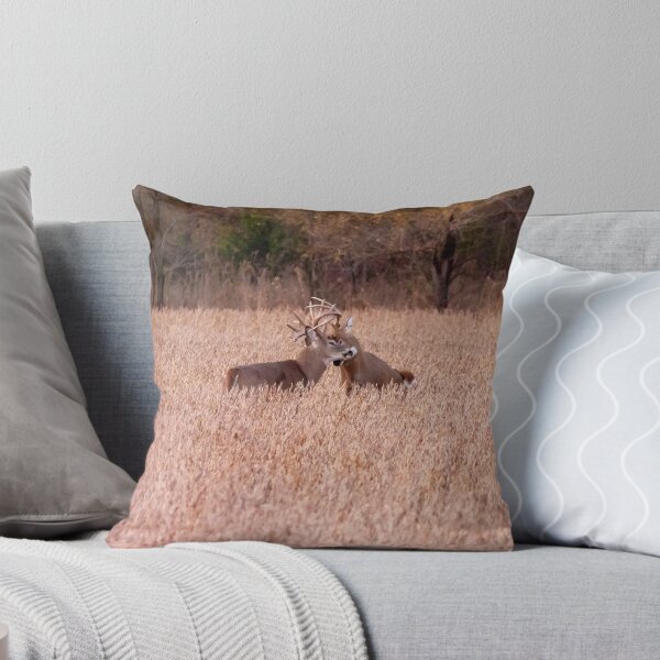 Item preview, Two Bucks in a Tangled Rut designed and sold by South 500 Photography.
