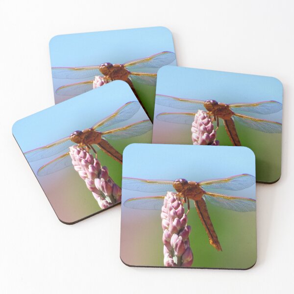 Item preview, Southwestern Dragonfly of the Utah Desert designed and sold by South 500 Photography.