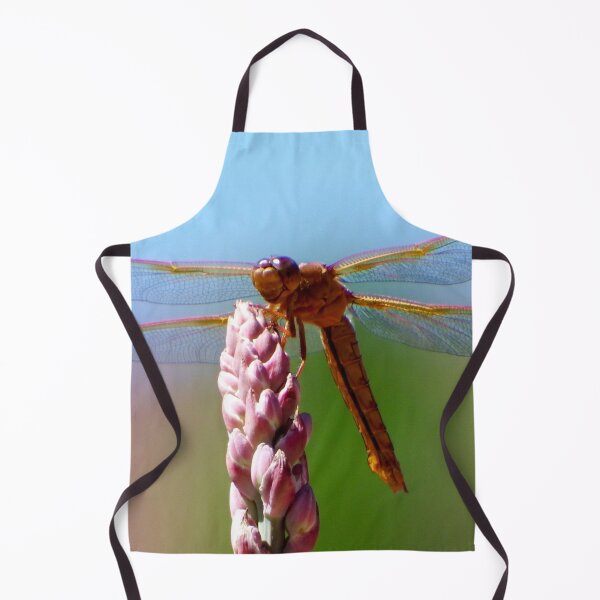 Item preview, Southwestern Dragonfly of the Utah Desert designed and sold by South 500 Photography.