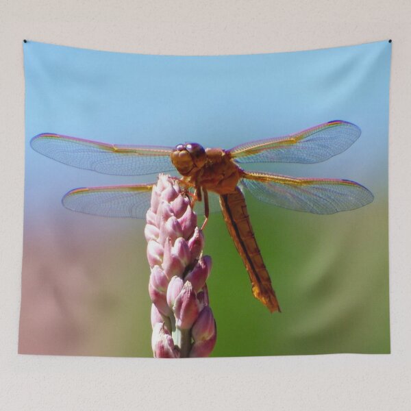 Item preview, Southwestern Dragonfly of the Utah Desert designed and sold by South 500 Photography.