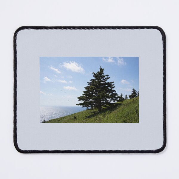 Item preview, Cape Split tree designed and sold by TheFundyMist.