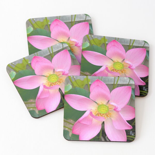 Item preview, Beautiful Lotus Flower at Korean Buddhist Temple designed and sold by YemmyZImages.