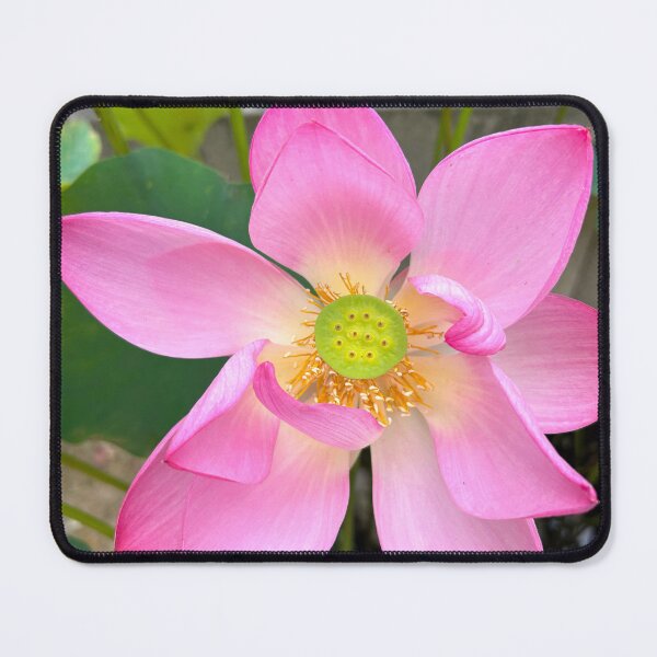 Item preview, Beautiful Lotus Flower at Korean Buddhist Temple designed and sold by YemmyZImages.