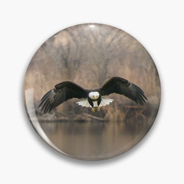 Item preview, A Bald Eagle flying over water searching for dinner. designed and sold by South 500 Photography.