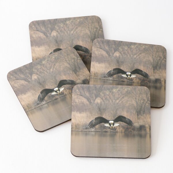 Item preview, A Bald Eagle flying over water searching for dinner. designed and sold by South 500 Photography.