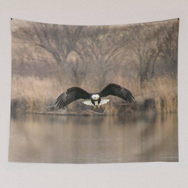 Item preview, A Bald Eagle flying over water searching for dinner. designed and sold by South 500 Photography.
