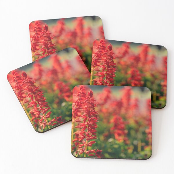 Item preview, Red Salvia Flower Spike designed and sold by Rabee Khalil Photography.