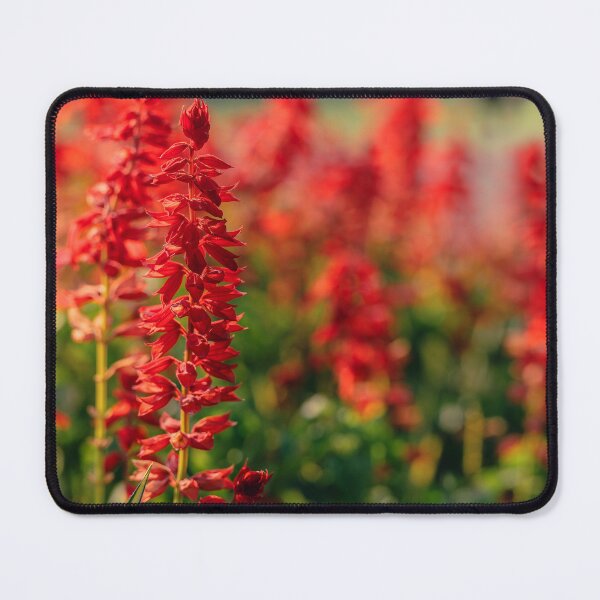 Item preview, Red Salvia Flower Spike designed and sold by Rabee Khalil Photography.