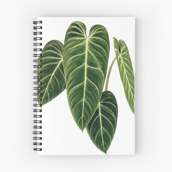 Item preview, Elegant Tropical Philodendron Melanochrysum   Leaf Botanical Illustration designed and sold by Mikena1996.