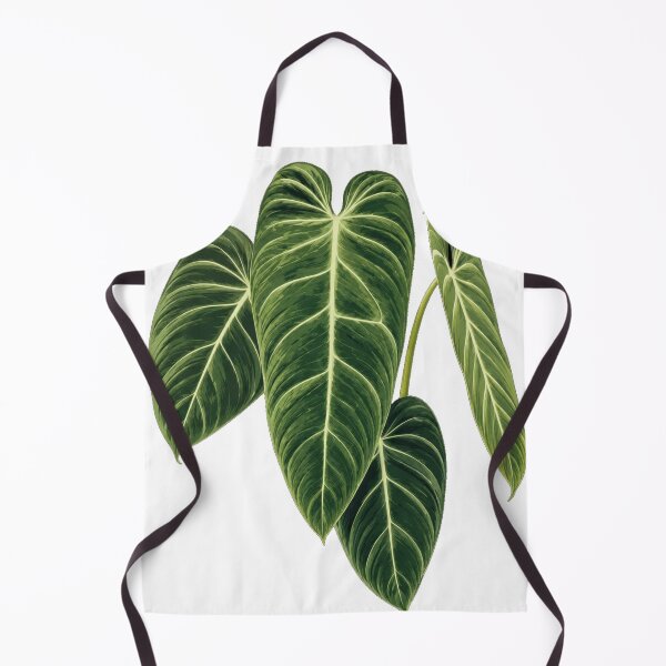 Item preview, Elegant Tropical Philodendron Melanochrysum Leaf Botanical Illustration designed and sold by Mikena1996.